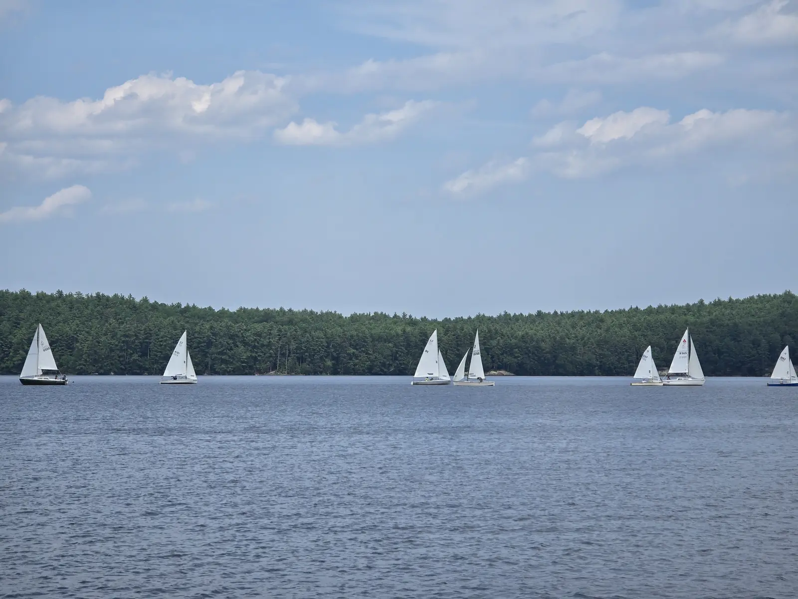 Sailboats racing on Lake Massabesic in Manchester, New Hampshire